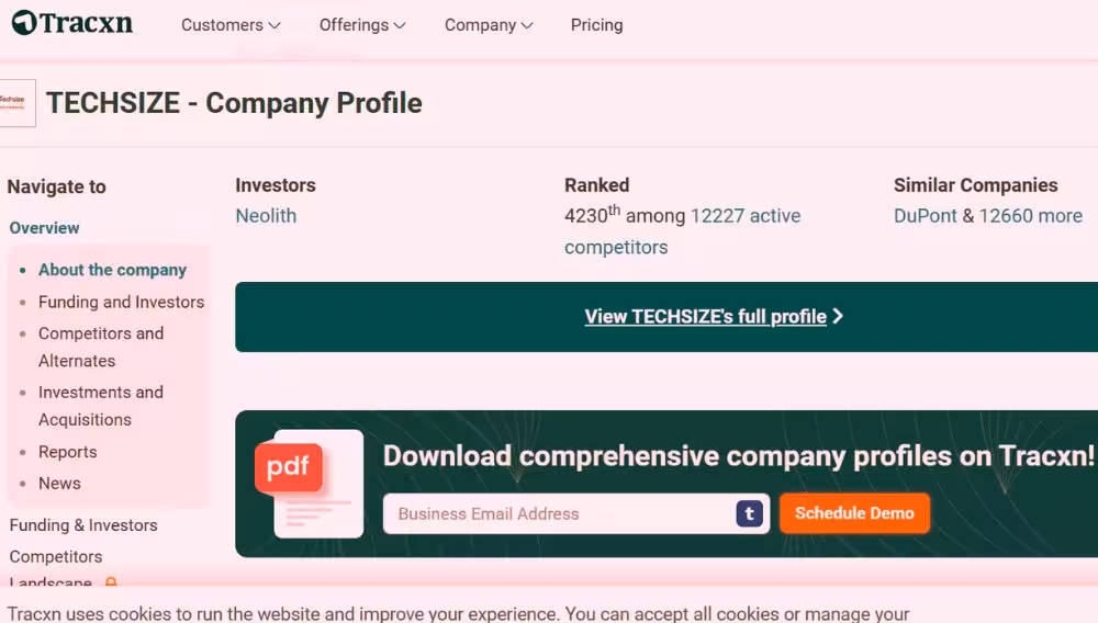 Techsized: Optimizing Your Digital Strategy